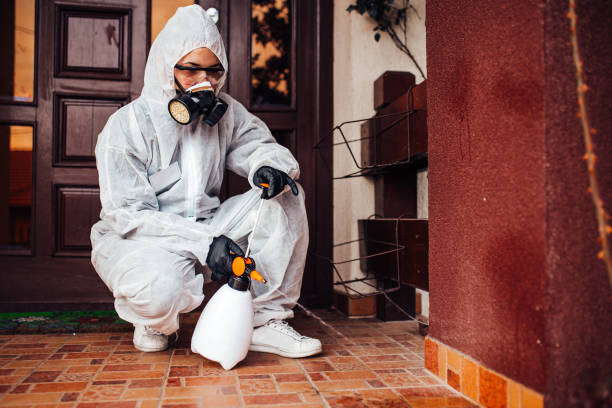 Attic and Crawl Space Rodent Treatment in Morgan's Point Resort