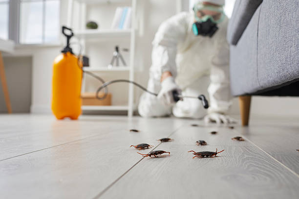 Commercial Rodent Management in Morgan's Point Resort